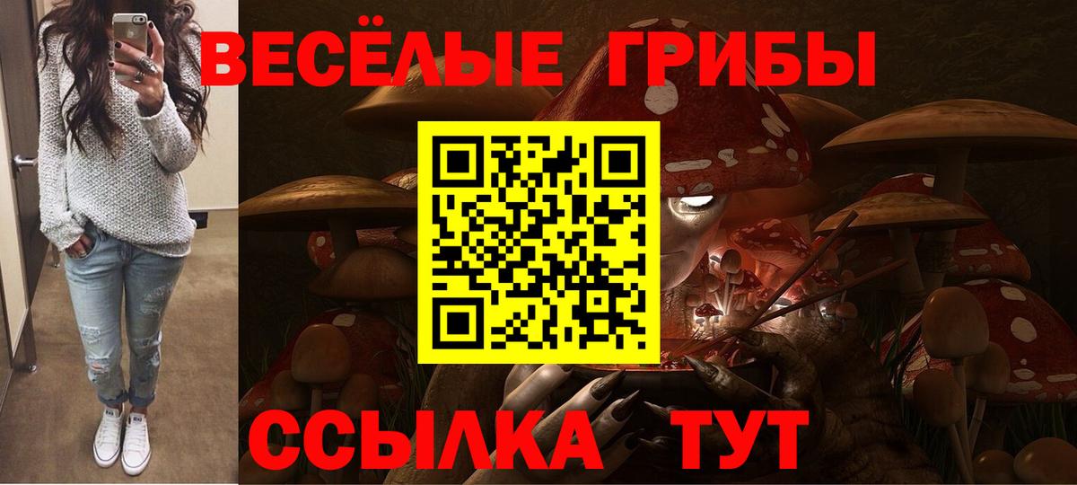 Камышлов  Вход с VPN  Экстази  КОКАИН  МЕФ  Альфа ПВП СК кристаллы  МЕФ   ГАШ  МАРИХУАНА 