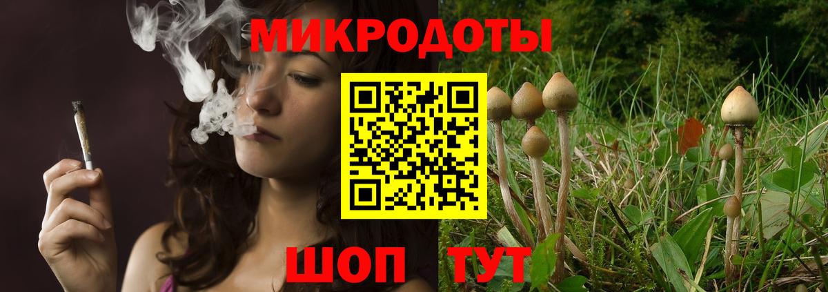 Камышлов  Галлюциногенные грибы GOLDEN TEACHER  Вход с VPN  Галлюциногенные грибы прущие грибы 