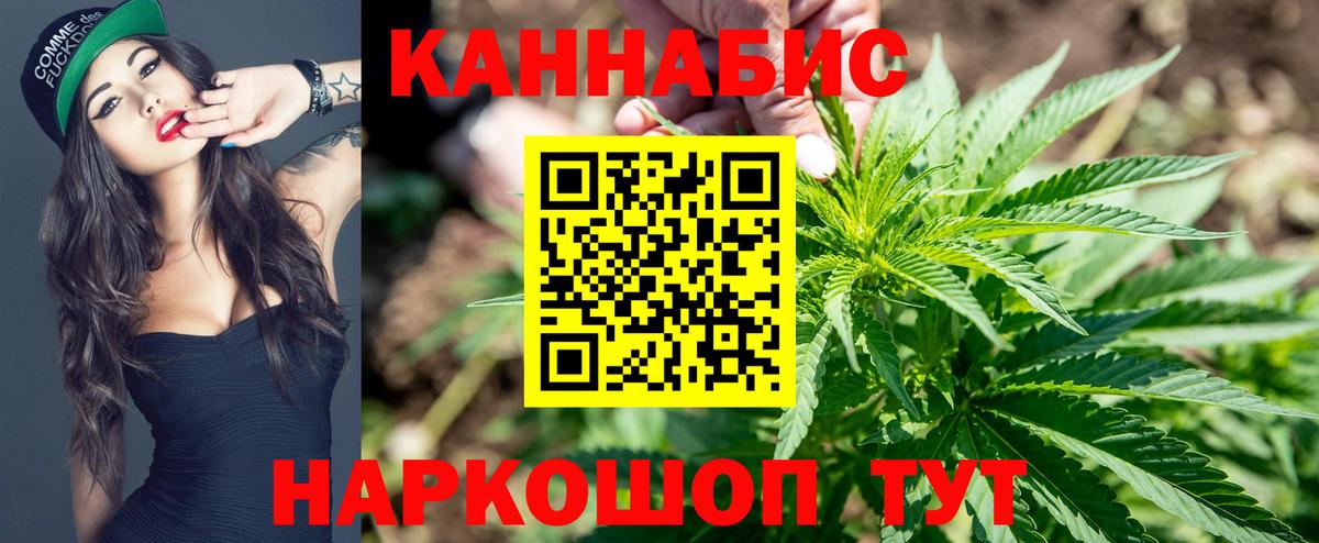 Бошки марихуана сатива  Конопля планчик  Камышлов  Бошки Шишки THC 21%  Бошки марихуана планчик  Вход с VPN 